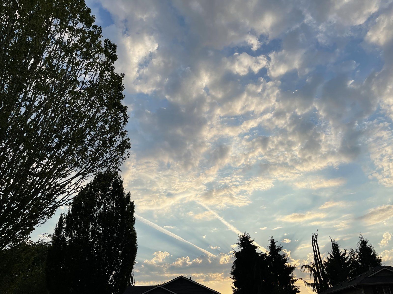 50CED518-48CA-430E-AE5E-1C771F47AF1D.jpeg