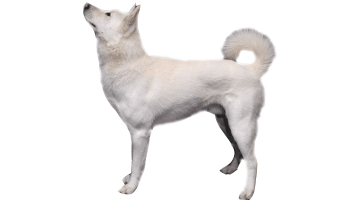 5130E996-A392-43B3-B1B2-BECFD097E4AF.png