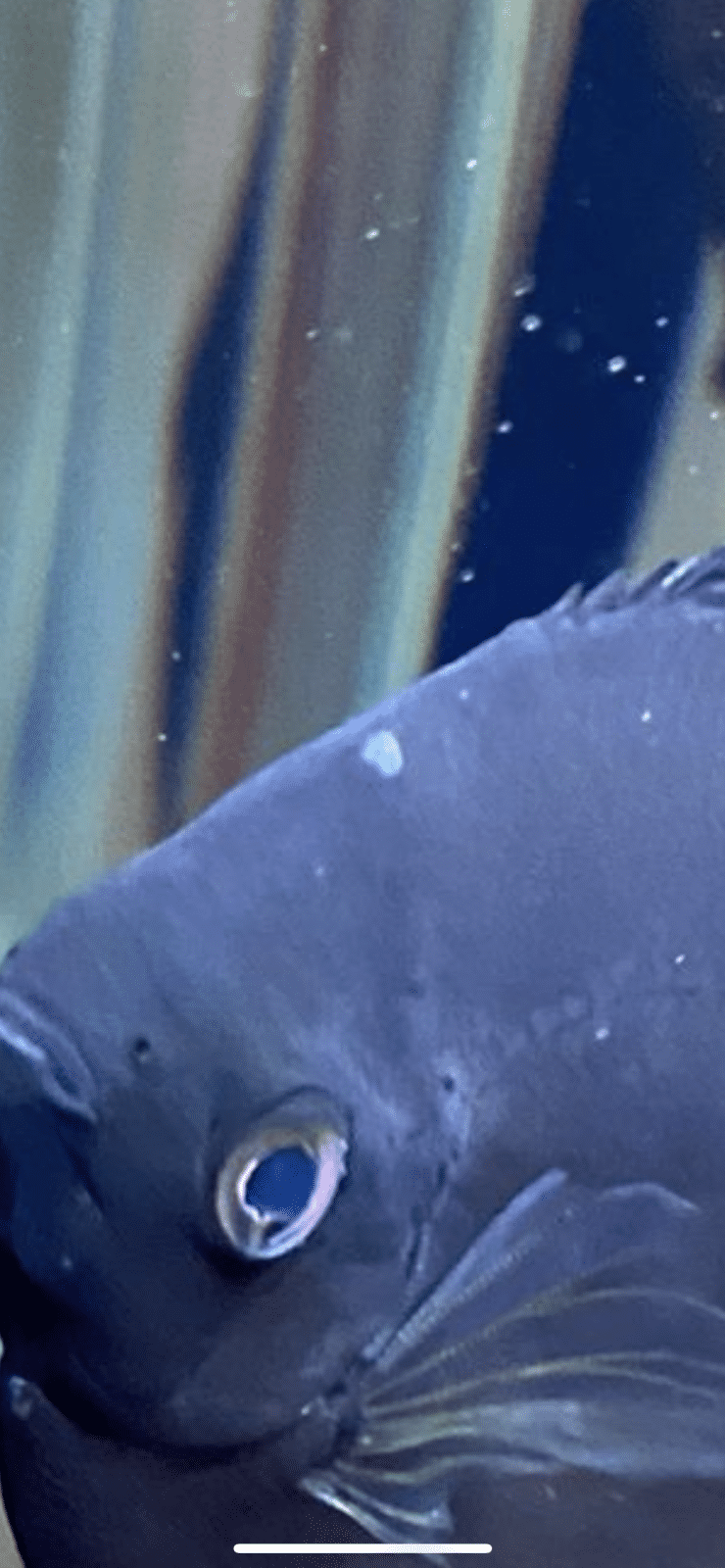 54970EC8-8E68-4D37-B613-E424424EE952.png