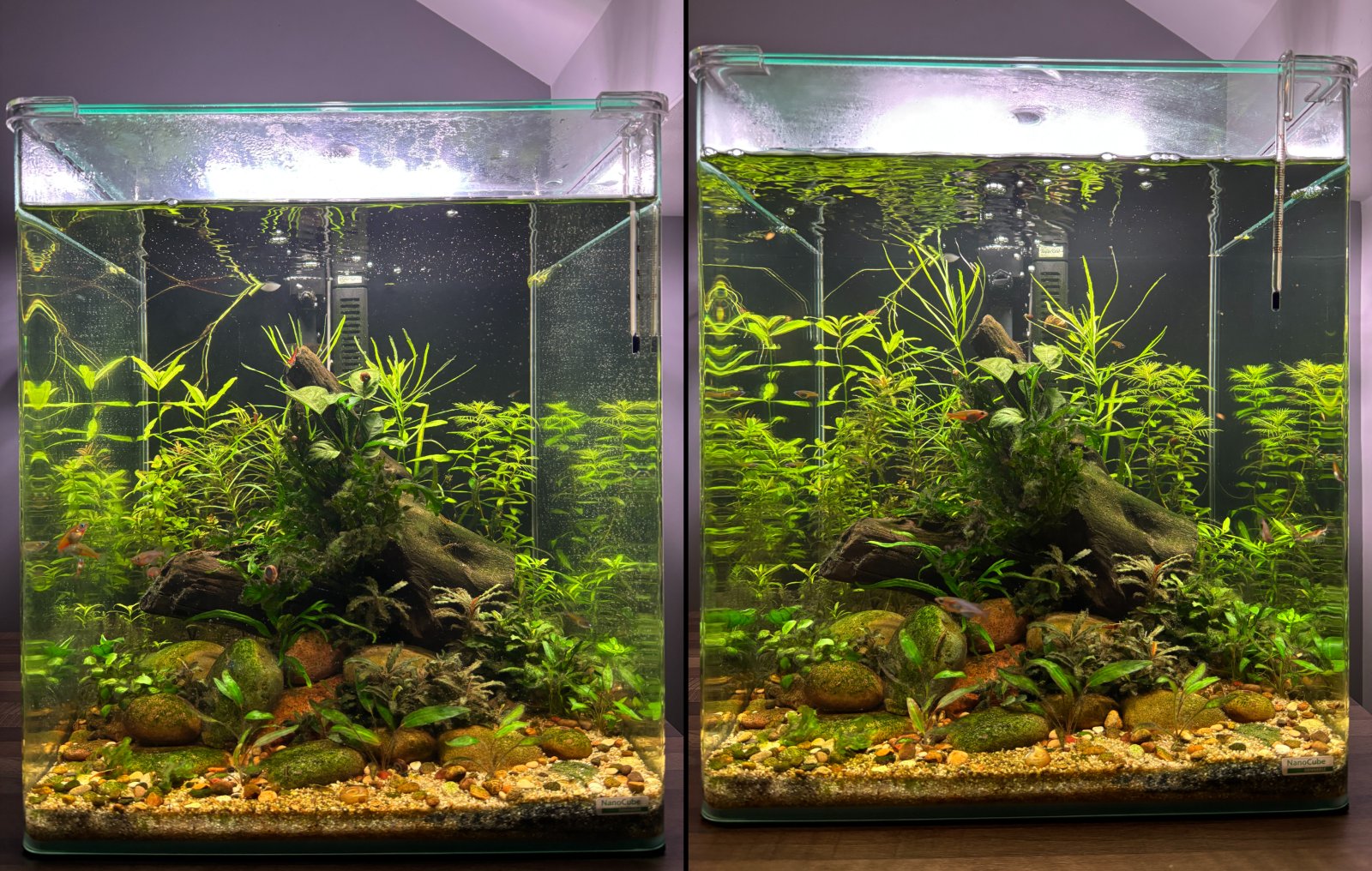 60L.jpg