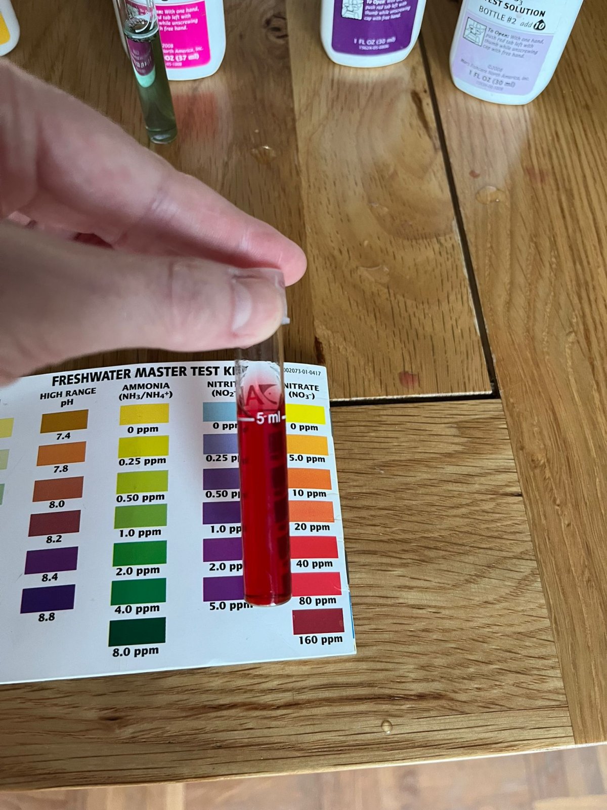 68b582f7-fcb6-4df0-a230-550685a58519.jpeg