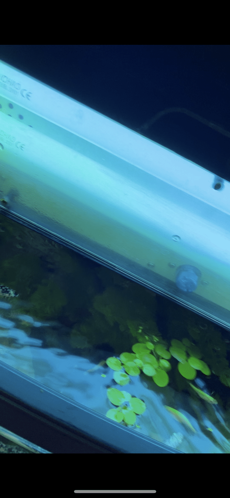 6B4DEE4A-F925-4ADD-8266-308FBDD8142F.png