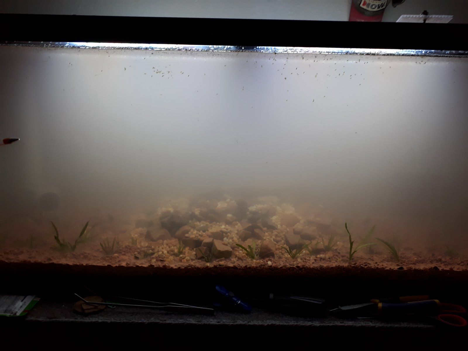 75gal_Rescape_0001.jpg