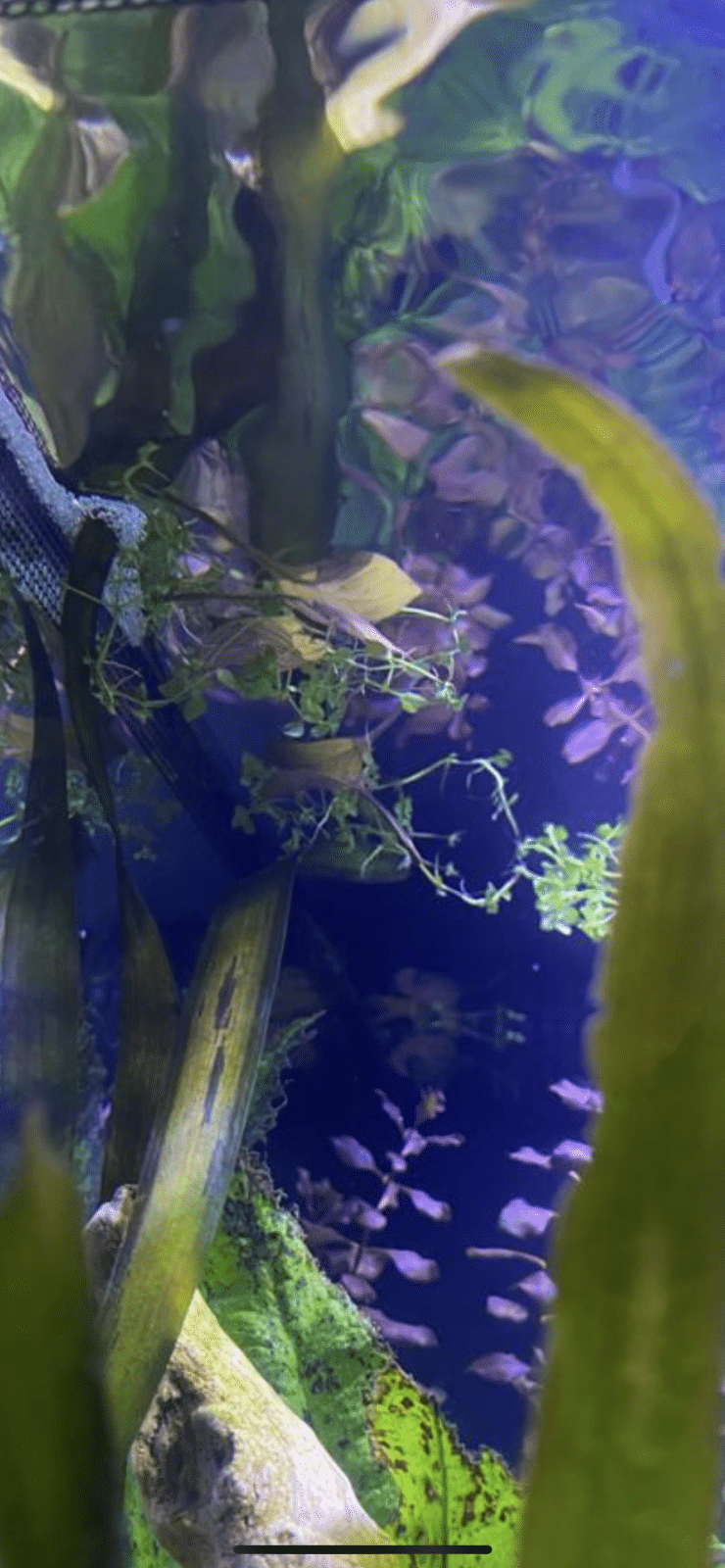7A7A0350-78E2-4781-AE4F-89D1A5B0D793.png