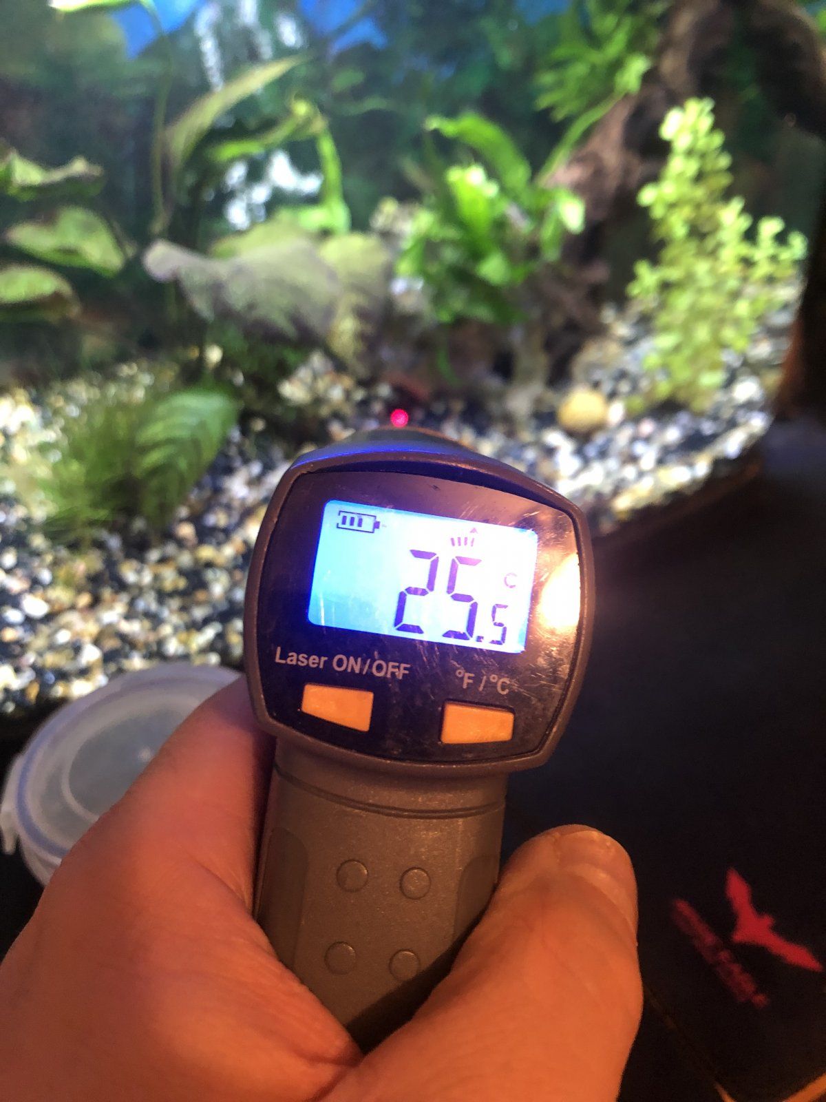 8E6B118C-8AEE-4009-981B-0061C3B64F2E.jpeg
