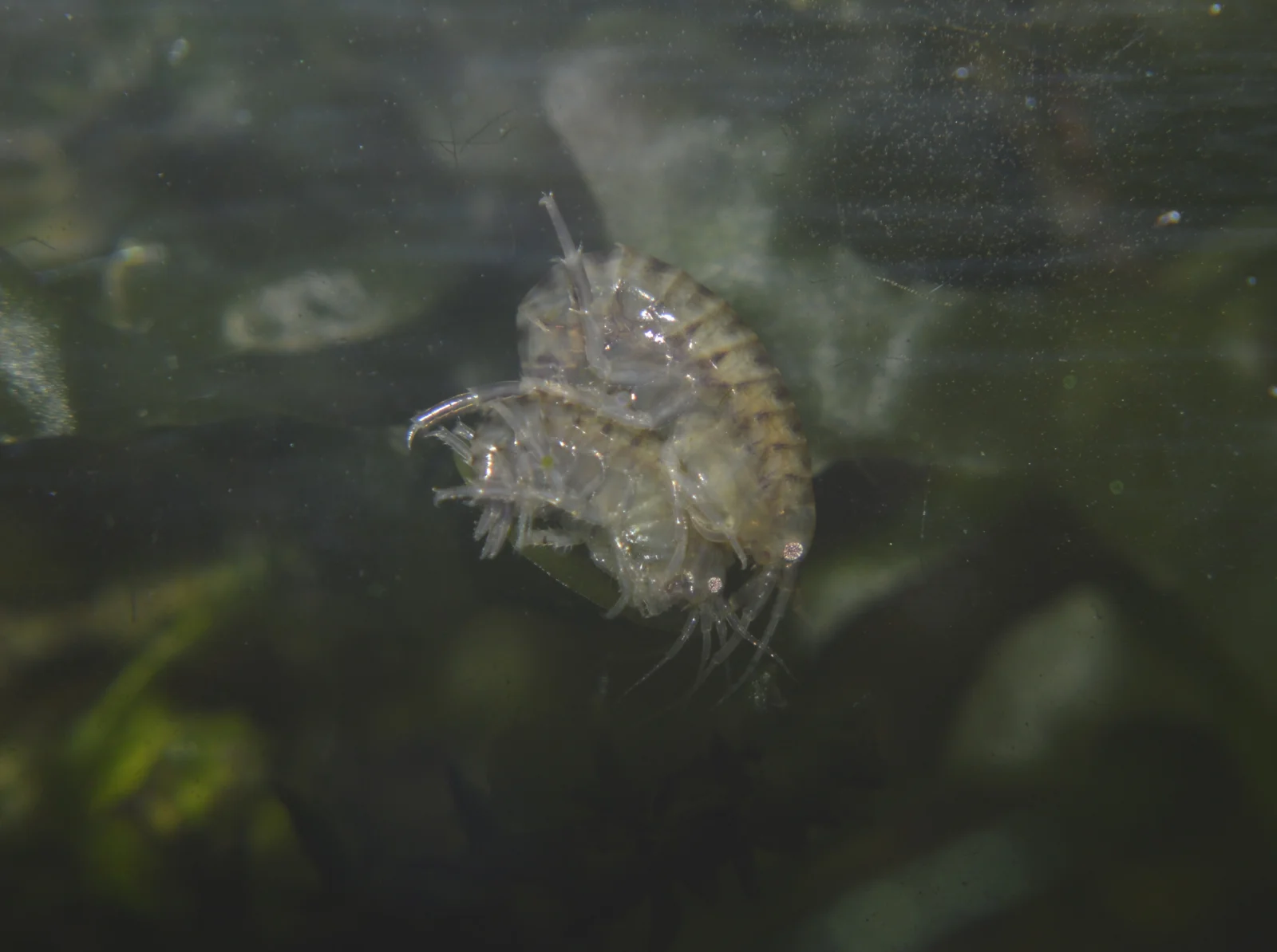 _DSC1708.webp