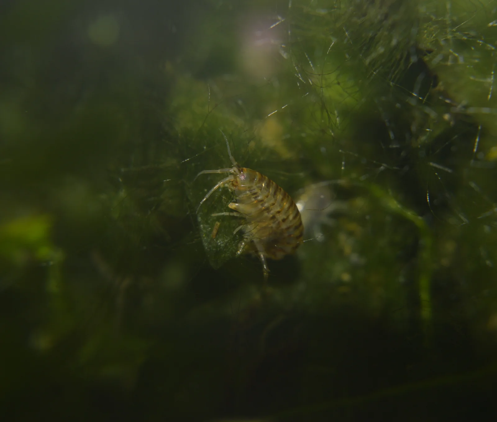 _DSC1731.webp