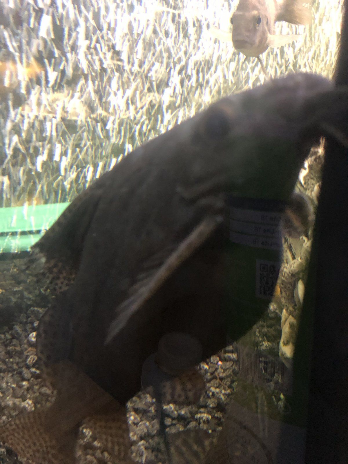 AE973AB1-AF0A-4D15-B7A8-4855D89C2569.jpeg