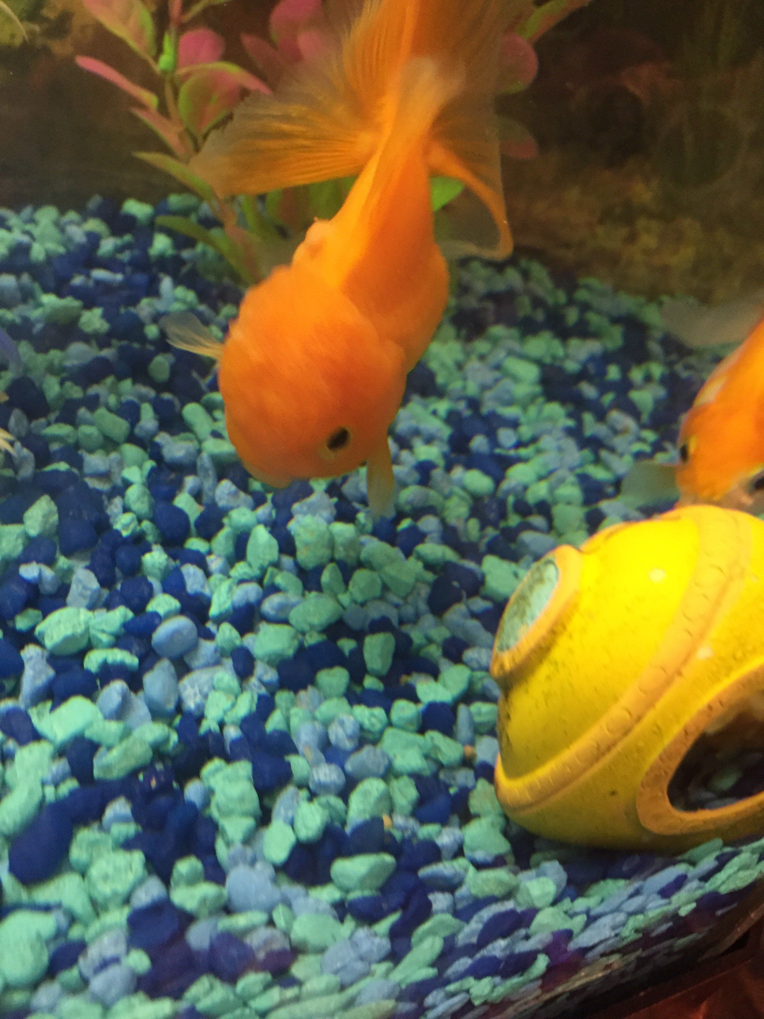 AF3EAEBA-B758-4A82-9A66-5AA6142A8BA8.jpeg