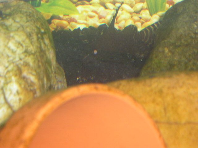 AJB_3_030.jpg