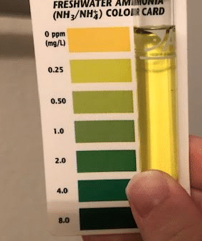 Ammonia.png