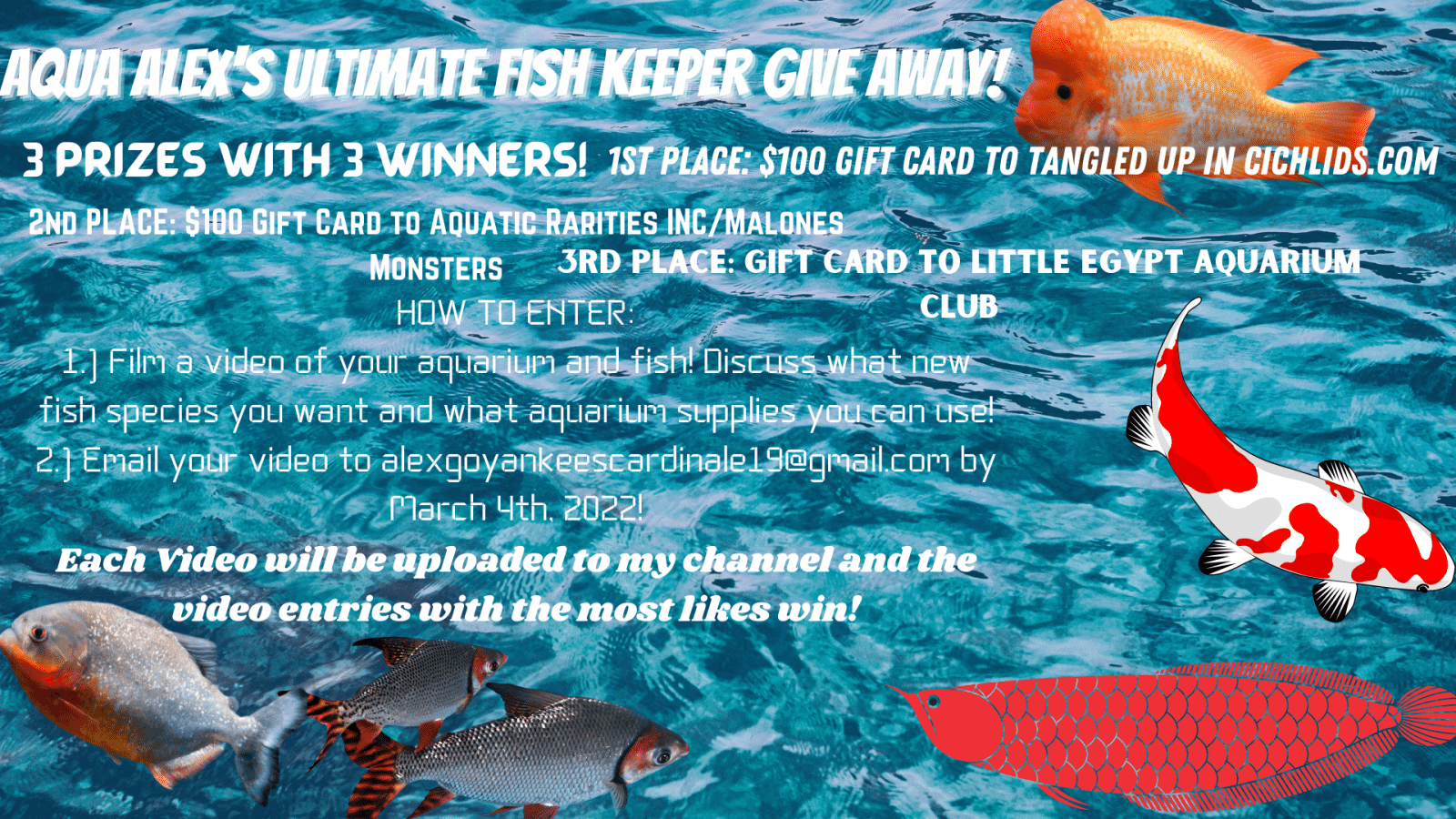 Aqua Alex's ULTIMATE Fish Keeper Give Away!.png