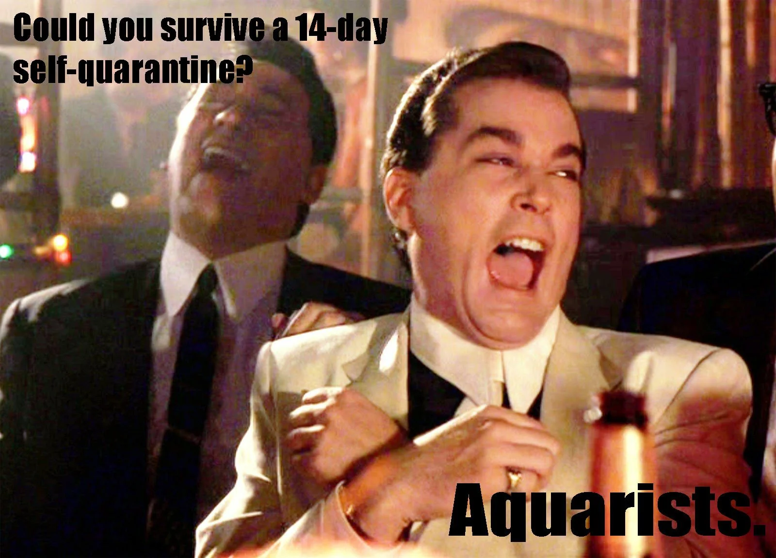 Aquarists.jpg