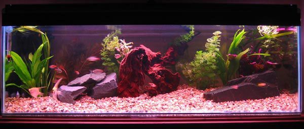 aquarium.jpg