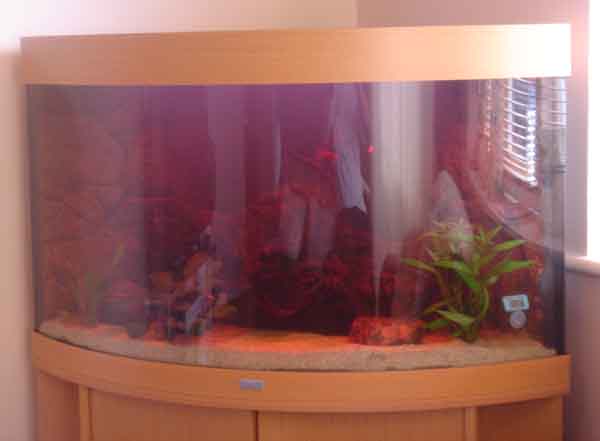 Aquarium_003.jpg