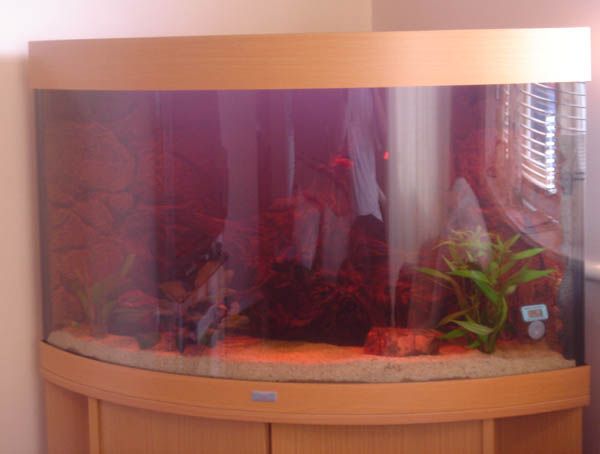 Aquarium_009.jpg