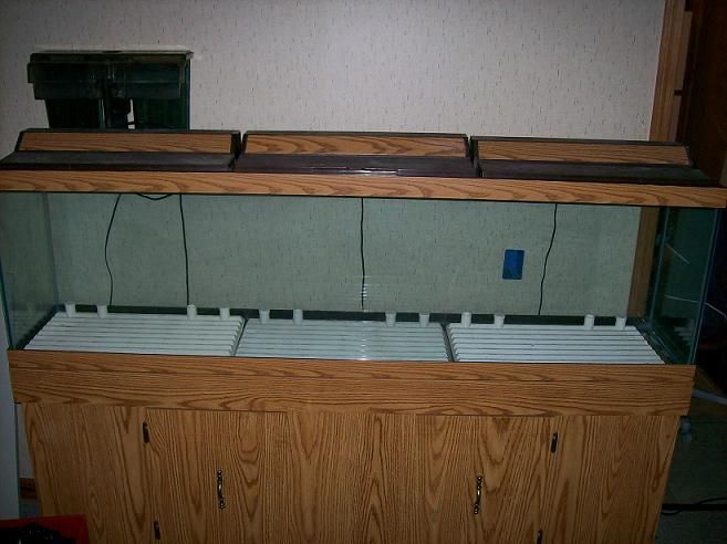 Aquarium_photos_001.jpg
