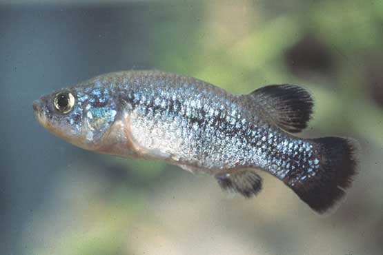 AT01_0015.jpg