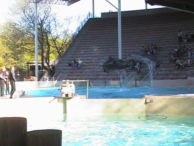 AUT_4124.JPG