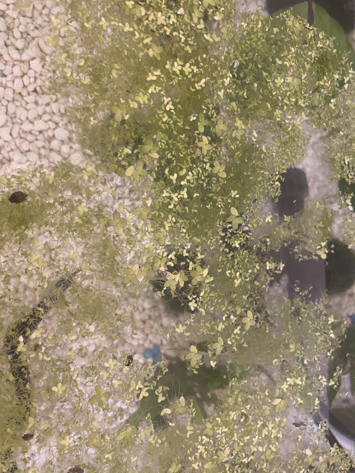 B44F8DC7-F6EC-435C-94AD-673472E8A7D5.jpeg