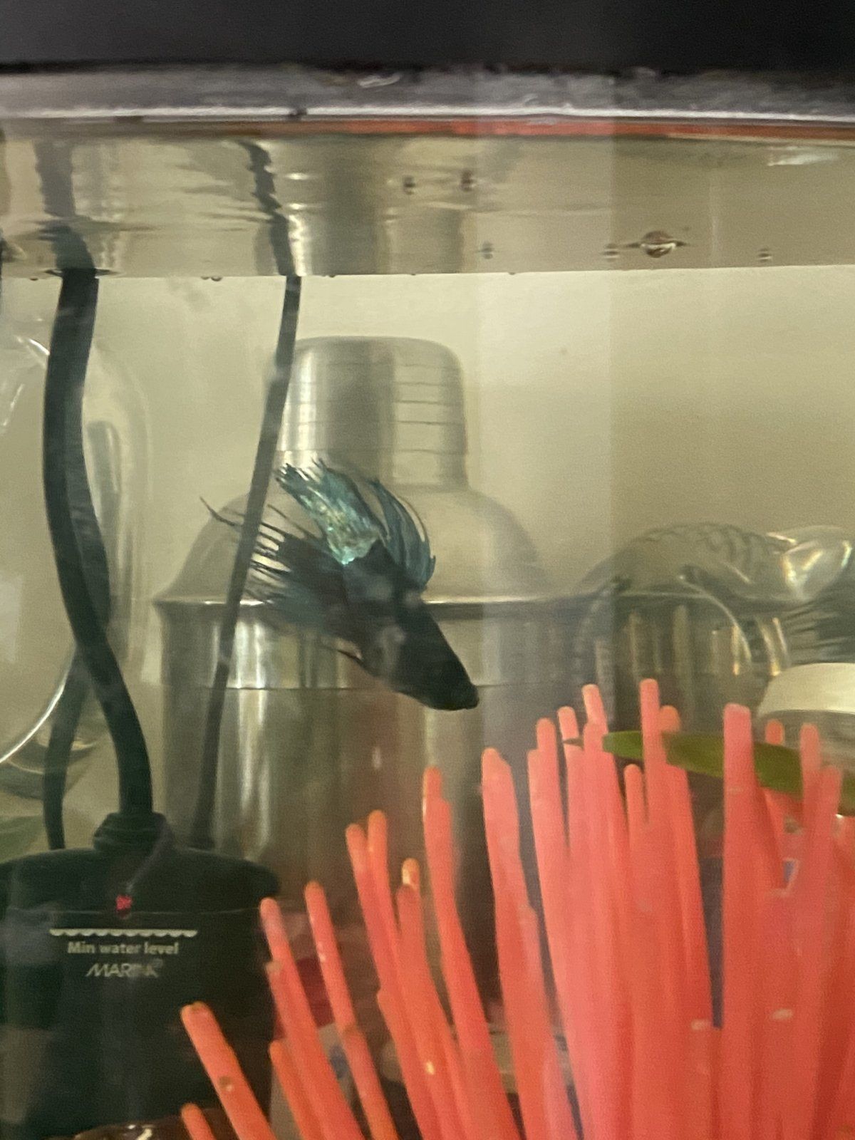 B4D9540C-4183-43F6-A984-239FAE45A668.jpeg