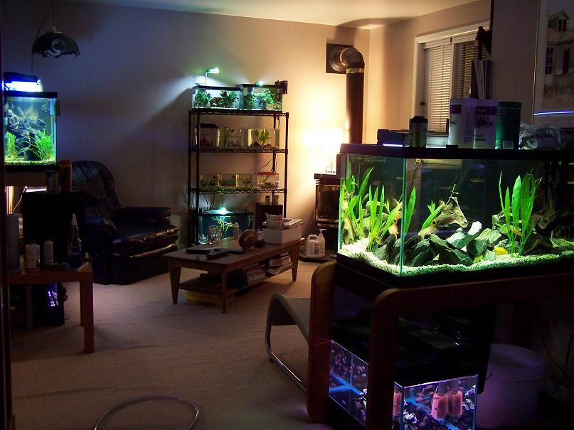 back_of_room.jpg