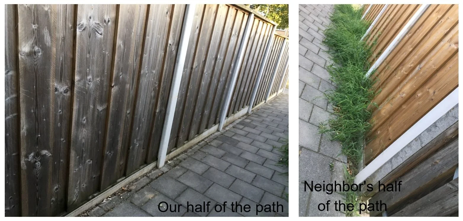 backyards path.webp
