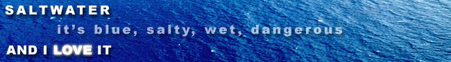 banner.jpg