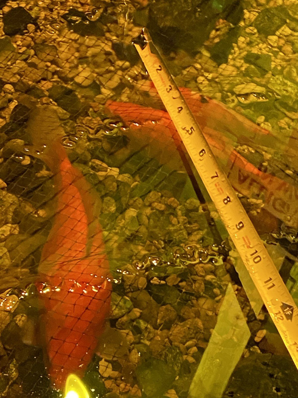 BD6C8093-5553-4B31-8442-28531F968BFD.jpeg