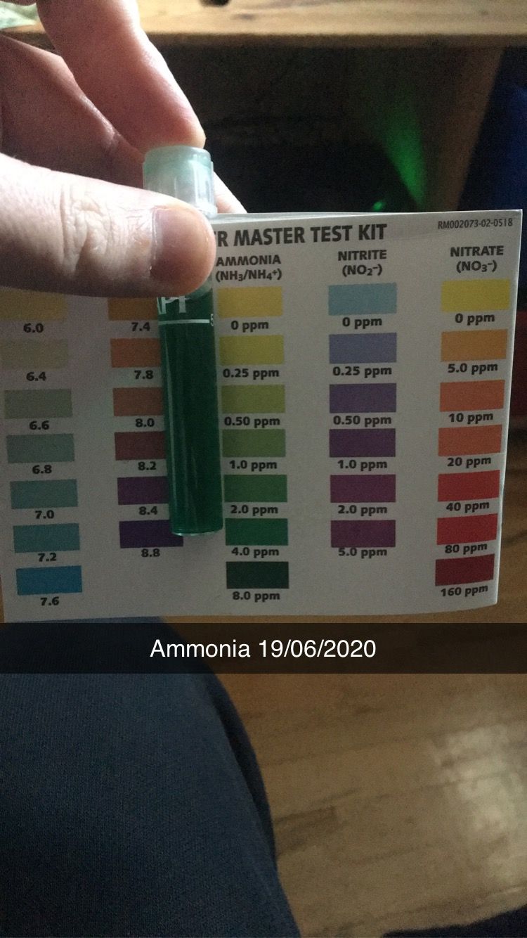 BE057781-E7E2-4235-9275-61613D5C08E8.jpeg