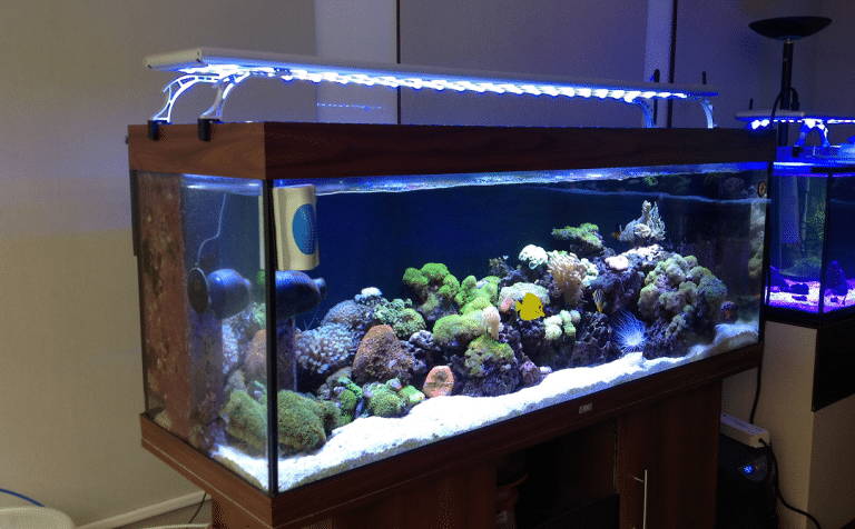 Best-LED-Aquarium-Lighting.png