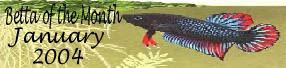 betta_banner.JPG
