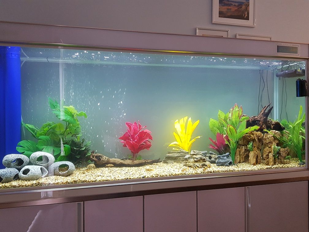 big tank2.jpg