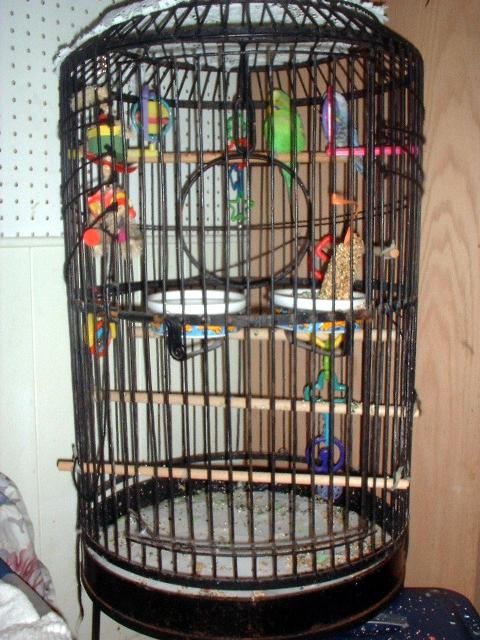bird_cage.JPG