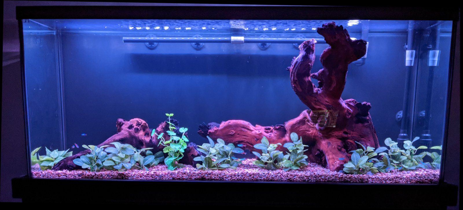 Black background night mode.jpg