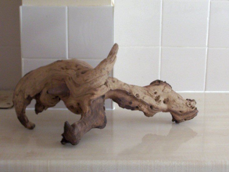 bogwood2.jpg