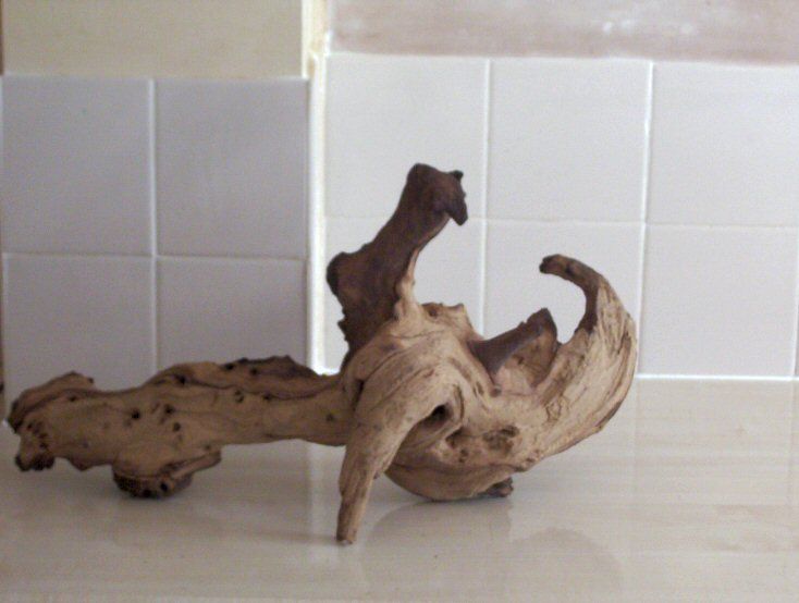 bogwood3.jpg