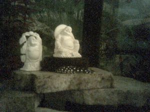 buddha.jpg