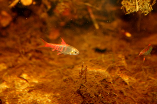 byejae2 (640x427).jpg