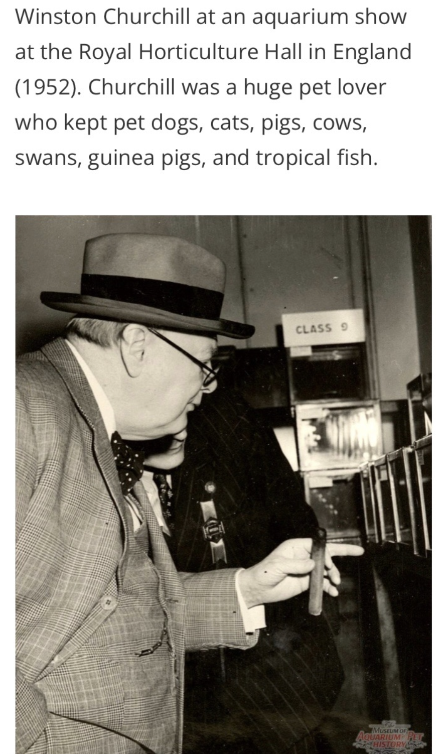 Churchill.png
