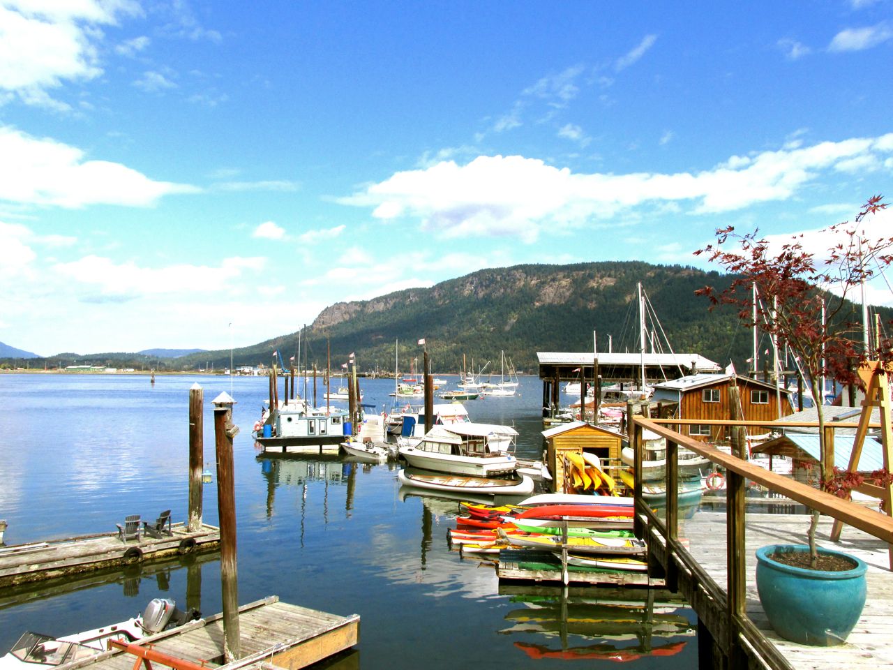 Cowichan bay  0.jpg