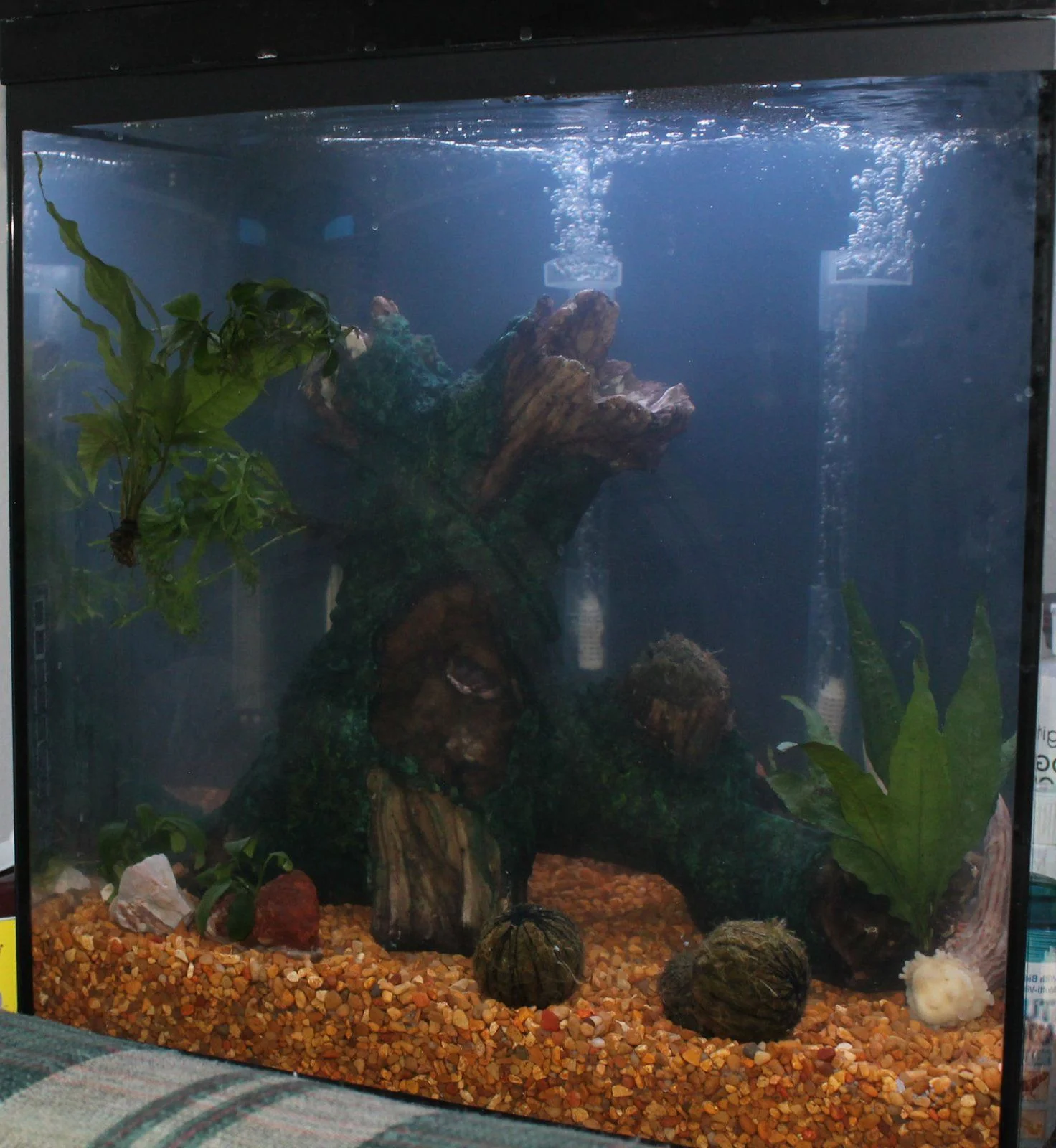 current tank.JPG