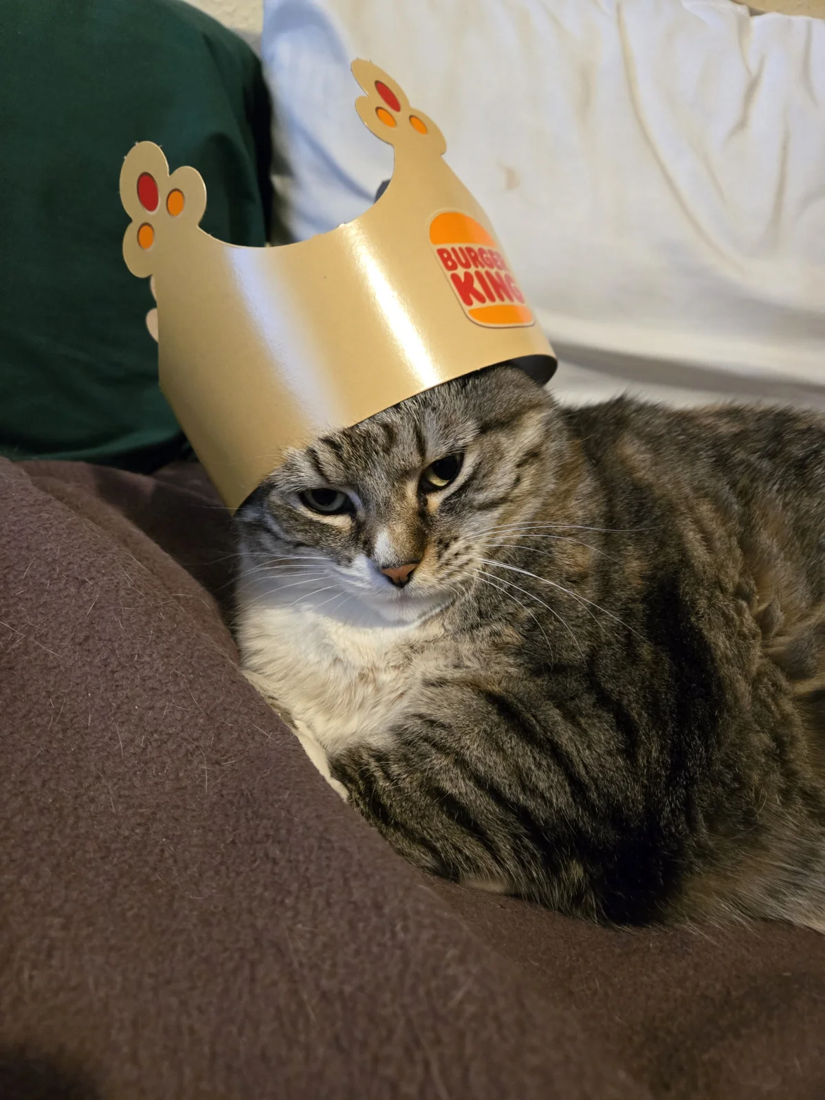 demoncat.webp