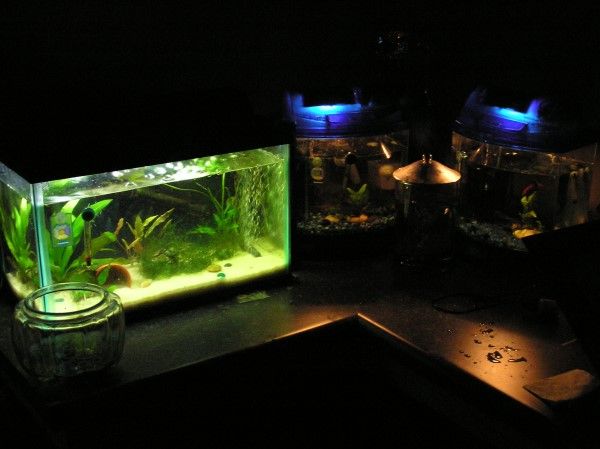 desk_tanks.jpg