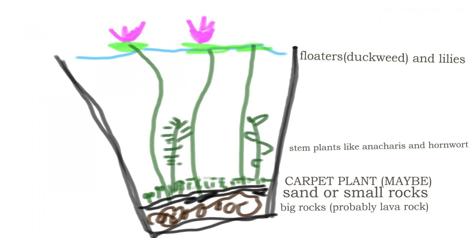 DO A BARREL ROLL.jpg