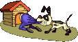 dog dragging human from doghouse.gif