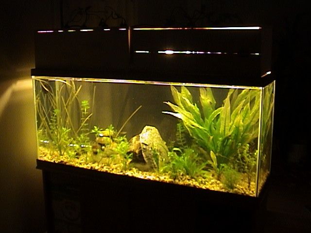 DSC00012.JPG