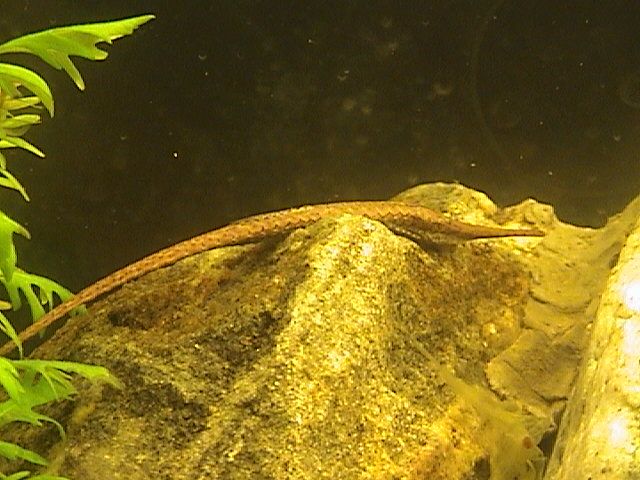 DSC00013.JPG