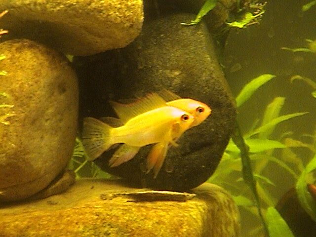 DSC00014.JPG