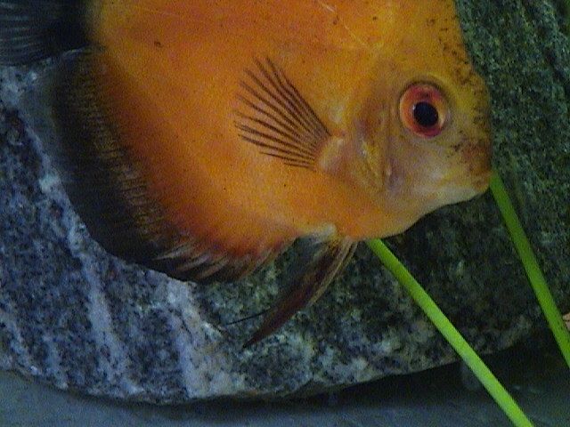 DSC00016.JPG